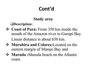 Cont’d
Study area
Description:
 Coast of Para: From 350 km inside the
mouth of the Amazon river to Gurupi Bay.
Linear distance is about 650 km.
 Murubira and Colares:Located on the
eastern margin of Marajo Bay and
 Maruda :Maruda beach on the Atlantic
coast.
 