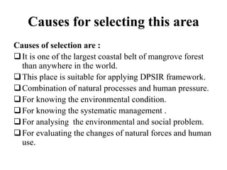 Causes for selecting this area
Causes of selection are :
It is one of the largest coastal belt of mangrove forest
than anywhere in the world.
This place is suitable for applying DPSIR framework.
Combination of natural processes and human pressure.
For knowing the environmental condition.
For knowing the systematic management .
For analysing the environmental and social problem.
For evaluating the changes of natural forces and human
use.
 