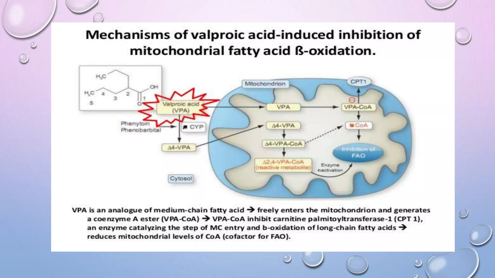Presentation on drug induced hepatotoxicity | PPTX