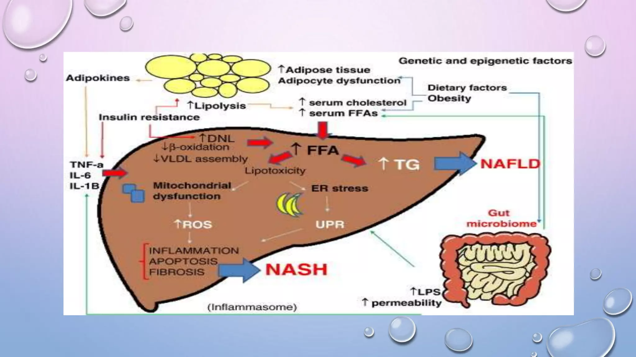 Presentation on drug induced hepatotoxicity | PPTX
