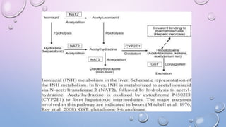 Presentation on drug induced hepatotoxicity | PPTX