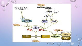 Presentation on drug induced hepatotoxicity | PPTX
