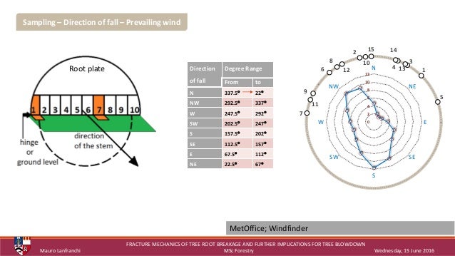 Phd thesis fracture mechanics