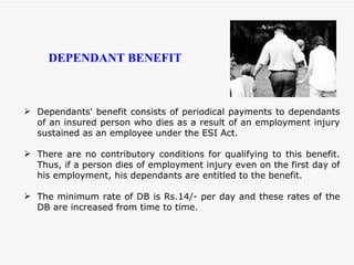 Dependants' benefit consists of periodical payments to dependants of an insured person who dies as a result of an employment injury sustained as an employee under the ESI Act. There are no contributory conditions for qualifying to this benefit. Thus, if a person dies of employment injury even on the first day of his employment, his dependants are entitled to the benefit. The minimum rate of DB is Rs.14/- per day and these rates of the DB are increased from time to time.  DEPENDANT BENEFIT 