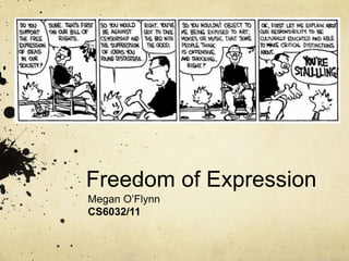 Freedom of Expression Megan O’Flynn CS6032/11 