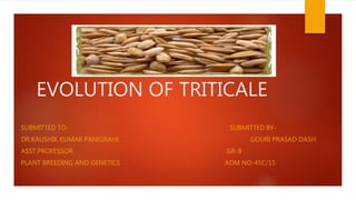 EVOLUTION OF TRITICALE
SUBMITTED TO- SUBMITTED BY-
DR.KAUSHIK KUMAR PANIGRAHI GOURI PRASAD DASH
ASST.PROFESSOR GR-B
PLANT BREEDING AND GENETICS ADM NO-45C/15
 