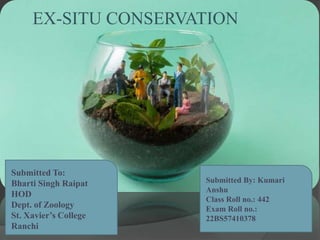 EX-SITU CONSERVATION
Submitted To:
Bharti Singh Raipat
HOD
Dept. of Zoology
St. Xavier’s College
Ranchi
Submitted By: Kumari
Anshu
Class Roll no.: 442
Exam Roll no.:
22BS57410378
 