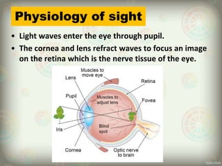 Physiology of sight
• Light waves enter the eye through pupil.
• The cornea and lens refract waves to focus an image
on the retina which is the nerve tissue of the eye.
 