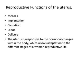 Reproductive Functions of the uterus.
•   Menses
•   Implantation
•   Gestation
•   Labor
•   Delivery
•   The uterus is responsive to the hormonal changes
    within the body, which allows adaptation to the
    different stages of a woman reproductive life.
 