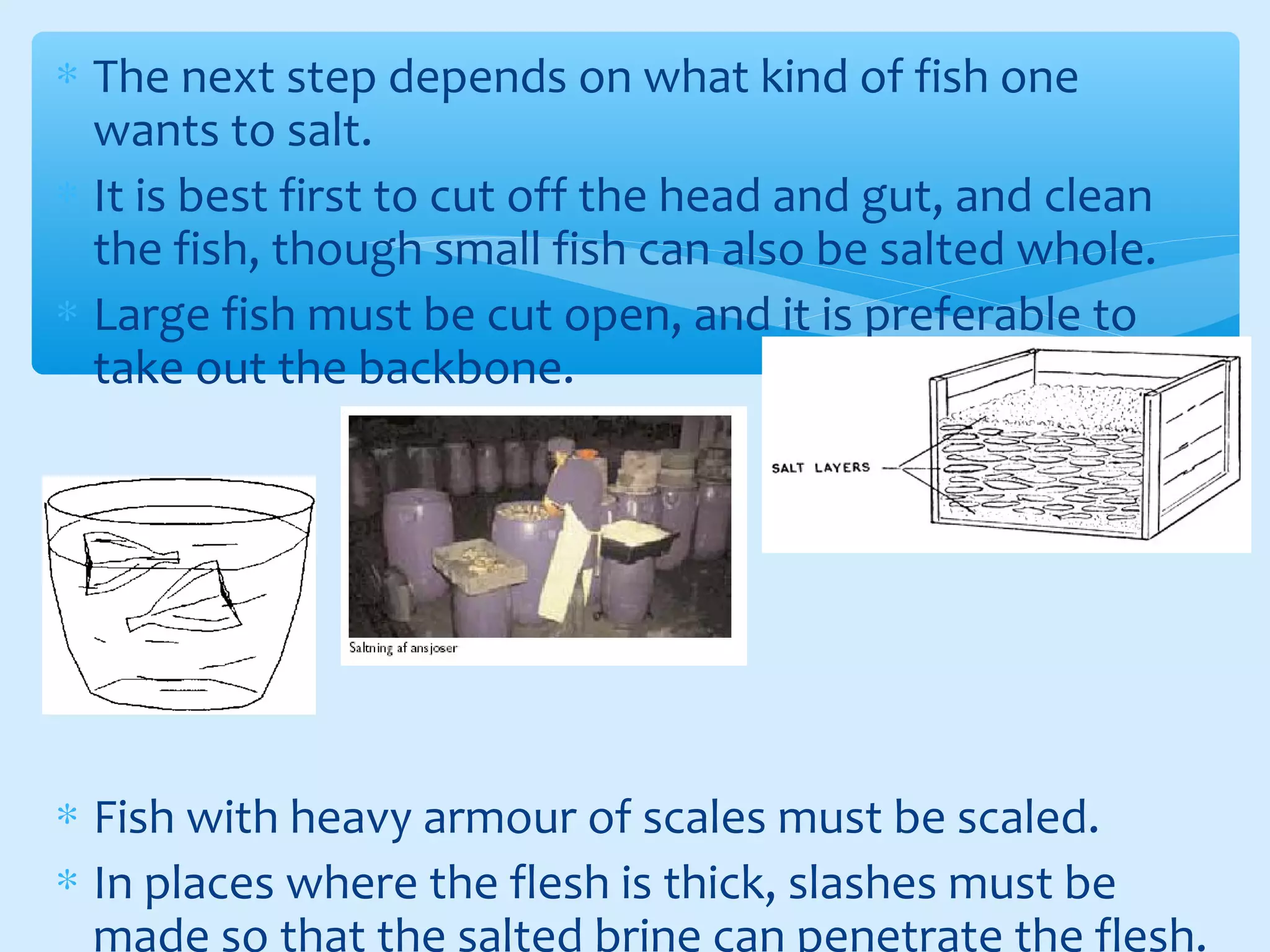 ∗ The next step depends on what kind of fish one
wants to salt.
∗ It is best first to cut off the head and gut, and clean
the fish, though small fish can also be salted whole.
∗ Large fish must be cut open, and it is preferable to
take out the backbone.
∗ Fish with heavy armour of scales must be scaled.
∗ In places where the flesh is thick, slashes must be
made so that the salted brine can penetrate the flesh.
 