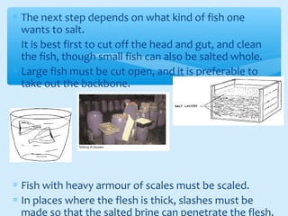 ∗ The next step depends on what kind of fish one
wants to salt.
∗ It is best first to cut off the head and gut, and clean
the fish, though small fish can also be salted whole.
∗ Large fish must be cut open, and it is preferable to
take out the backbone.
∗ Fish with heavy armour of scales must be scaled.
∗ In places where the flesh is thick, slashes must be
made so that the salted brine can penetrate the flesh.
 