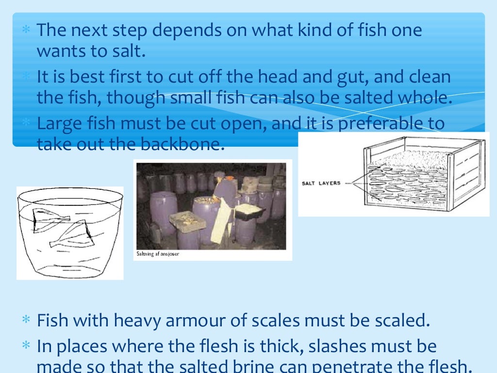Presentation on fish processing, preservation and trasporting