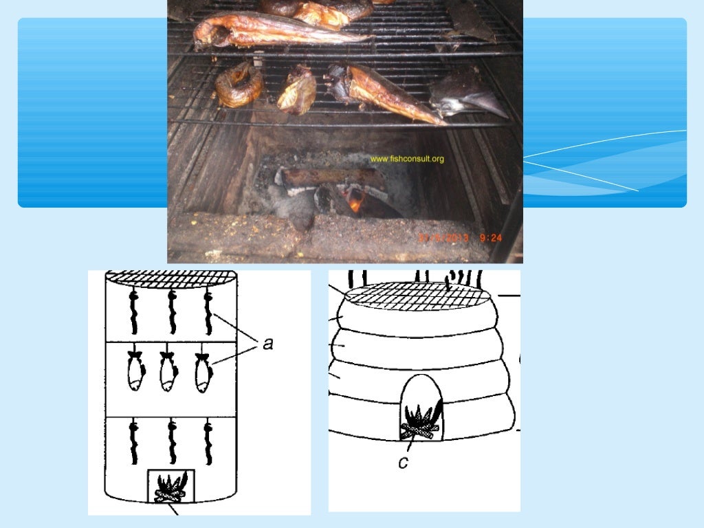 Presentation on fish processing, preservation and trasporting