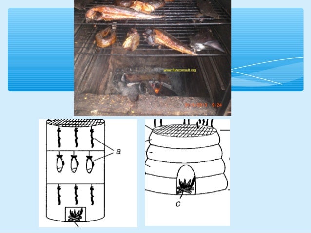 fish processing and preservation pdf