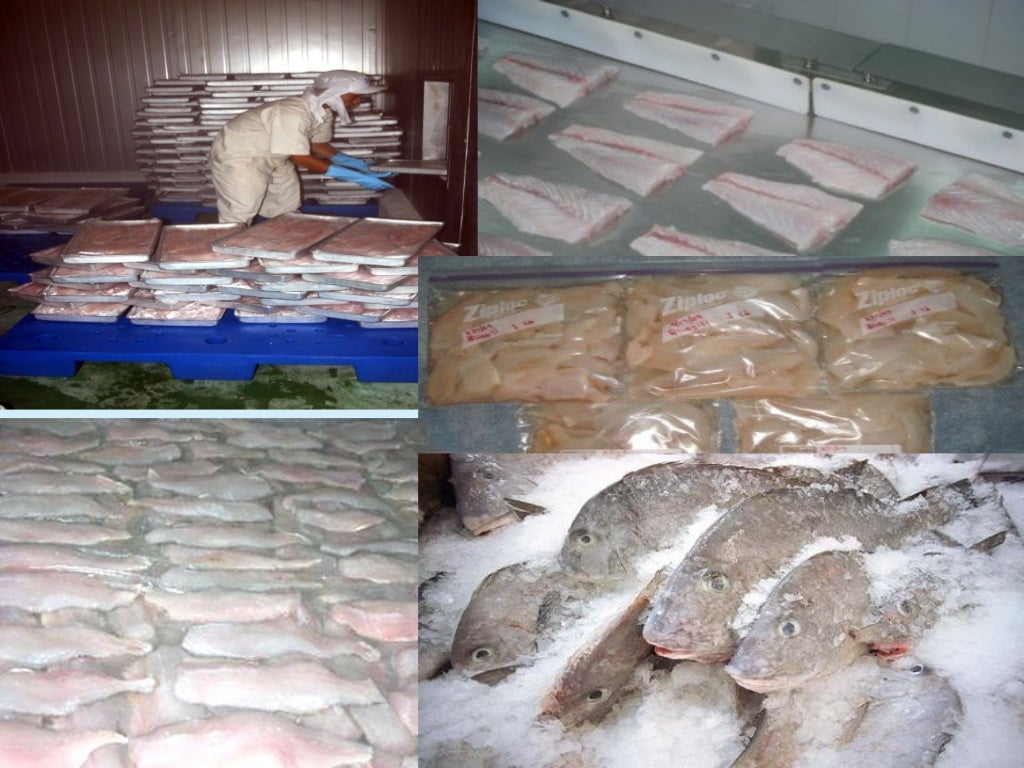 Presentation on fish processing, preservation and trasporting