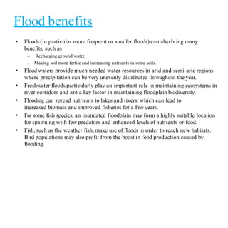 Flood benefits
• Floods (in particular more frequent or smaller floods) can also bring many
benefits, such as
– Recharging ground water,
– Making soil more fertile and increasing nutrients in some soils.
• Flood waters provide much needed water resources in arid and semi-arid regions
where precipitation can be very unevenly distributed throughout the year.
• Freshwater floods particularly play an important role in maintaining ecosystems in
river corridors and are a key factor in maintaining floodplain biodiversity.
• Flooding can spread nutrients to lakes and rivers, which can lead to
increased biomass and improved fisheries for a few years.
• For some fish species, an inundated floodplain may form a highly suitable location
for spawning with few predators and enhanced levels of nutrients or food.
• Fish, such as the weather fish, make use of floods in order to reach new habitats.
Bird populations may also profit from the boost in food production caused by
flooding.
 