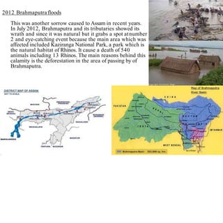2012 Brahmaputrafloods
This was another sorrow caused to Assam in recent years.
In July 2012, Brahmaputra and its tributaries showed its
wrath and since it was natural but it grabs a spot atnumber
2 and eye-catching event because the main area which was
affected included Kaziranga National Park, a park which is
the natural habitat of Rhinos. It cause a death of 540
animals including 13 Rhinos. The main reasons behind this
calamity is the deforestation in the area of passing by of
Brahmaputra.
 
