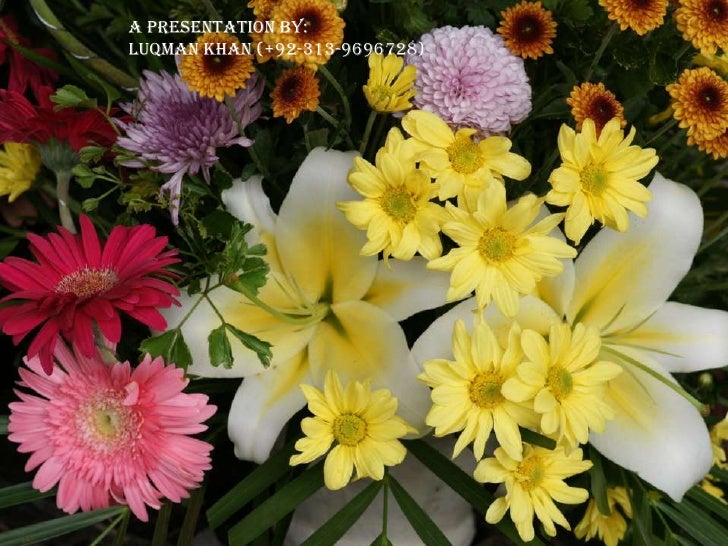 Presentation On Flowers