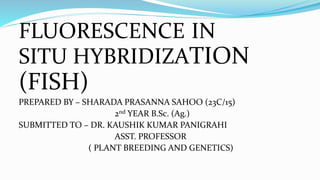 FLUORESCENCE IN
SITU HYBRIDIZATION
(FISH)
PREPARED BY – SHARADA PRASANNA SAHOO (23C/15)
2nd YEAR B.Sc. (Ag.)
SUBMITTED TO – DR. KAUSHIK KUMAR PANIGRAHI
ASST. PROFESSOR
( PLANT BREEDING AND GENETICS)
 