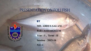 PRESENTATION ON FOLI FISH
BY
MD. ABDUS SALAM
Roll : ASH1602021M
Year : I , Term : II
Session : 2015-16
NSTU
 