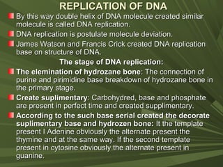 Presentation on fundamental genetics | PPT