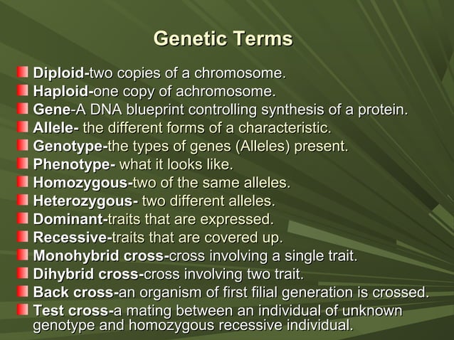 Presentation On Fundamental Genetics Ppt