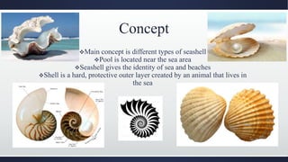 Concept
Main concept is different types of seashell
Pool is located near the sea area
Seashell gives the identity of sea and beaches
Shell is a hard, protective outer layer created by an animal that lives in
the sea
 