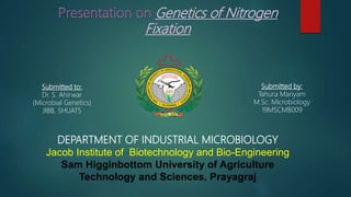 Genetics of Nitrogen
Fixation
Submitted by:
Tahura Mariyam
M.Sc. Microbiology
19MSCMB009
Submitted to:
Dr. S. Ahirwar
(Microbial Genetics)
JIBB, SHUATS
DEPARTMENT OF INDUSTRIAL MICROBIOLOGY
Jacob Institute of Biotechnology and Bio-Engineering
Sam Higginbottom University of Agriculture
Technology and Sciences, Prayagraj
 