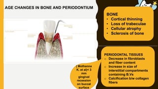 AGE CHANGES IN BONE AND PERIODONTIUM
PERIODONTAL TISSUES
o Decrease in fibroblasts
and fiber content
o Increase in size of
interstitial compartments
containing B.Vs
o Calcification b/w collagen
fibers
BONE
• Cortical thinning
• Loss of trabeculae
• Cellular atrophy
• Sclerosis of bone
( Mothanna
K. et al)< 3
mm
gingival
recession
on buccal
surface
 
