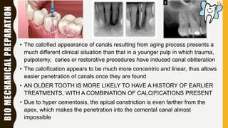 BIOMECHANICALPREPARATION
• The calcified appearance of canals resulting from aging process presents a
much different clinical situation than that in a younger pulp in which trauma,
pulpotomy, caries or restorative procedures have induced canal obliteration
• The calcification appears to be much more concentric and linear, thus allows
easier penetration of canals once they are found
• AN OLDER TOOTH IS MORE LIKELY TO HAVE A HISTORY OF EARLIER
TREATMENTS, WITH A COMBINATION OF CALCIFICATIONS PRESENT
• Due to hyper cementosis, the apical constriction is even farther from the
apex, which makes the penetration into the cemental canal almost
impossible
 