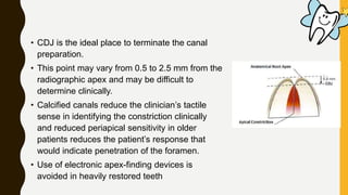 • CDJ is the ideal place to terminate the canal
preparation.
• This point may vary from 0.5 to 2.5 mm from the
radiographic apex and may be difficult to
determine clinically.
• Calcified canals reduce the clinician’s tactile
sense in identifying the constriction clinically
and reduced periapical sensitivity in older
patients reduces the patient’s response that
would indicate penetration of the foramen.
• Use of electronic apex-finding devices is
avoided in heavily restored teeth
 