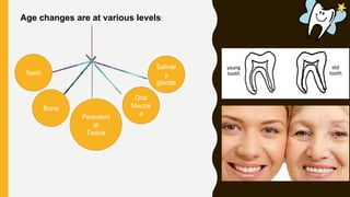 Age changes are at various levels:
Teeth
Bone
Periodont
al
Tissue
Oral
Mucos
a
Salivar
y
glands
 