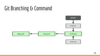 Git Branching & Command
19
 