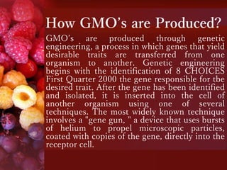 How GMO’s are Produced?
GMO’s are produced through genetic
engineering, a process in which genes that yield
desirable traits are transferred from one
organism to another. Genetic engineering
begins with the identification of 8 CHOICES
First Quarter 2000 the gene responsible for tbe
desired trait. After the gene has been identified
and isolated, it is inserted into the cell of
another organism using one of several
techniques. The most widely known technique
involves a "gene gun, " a device that uses bursts
of helium to propel microscopic particles,
coated with copies of the gene, directly into the
receptor cell.
 