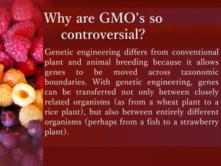 Why are GMO’s so
controversial?
Genetic engineering differs from conventional
plant and animal breeding because it allows
genes to be moved across taxonomic
boundaries. With genetic engineering, genes
can be transferred not only between closely
related organisms (as from a wheat plant to a
rice plant), but also between entirely different
organisms (perhaps from a fish to a strawberry
plant).
 