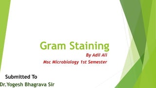 Dr.Yogesh Bhagrava Sir
By Adil Ali
Msc Microbiology 1st Semester
Submitted To
Gram Staining
 