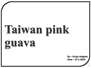 Taiwan pink
guava
1
By – Anuja vadgave
Date – 27-1-2024
 