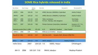 RICE BREEDING | PPTX