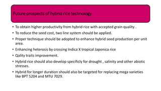 RICE BREEDING | PPTX