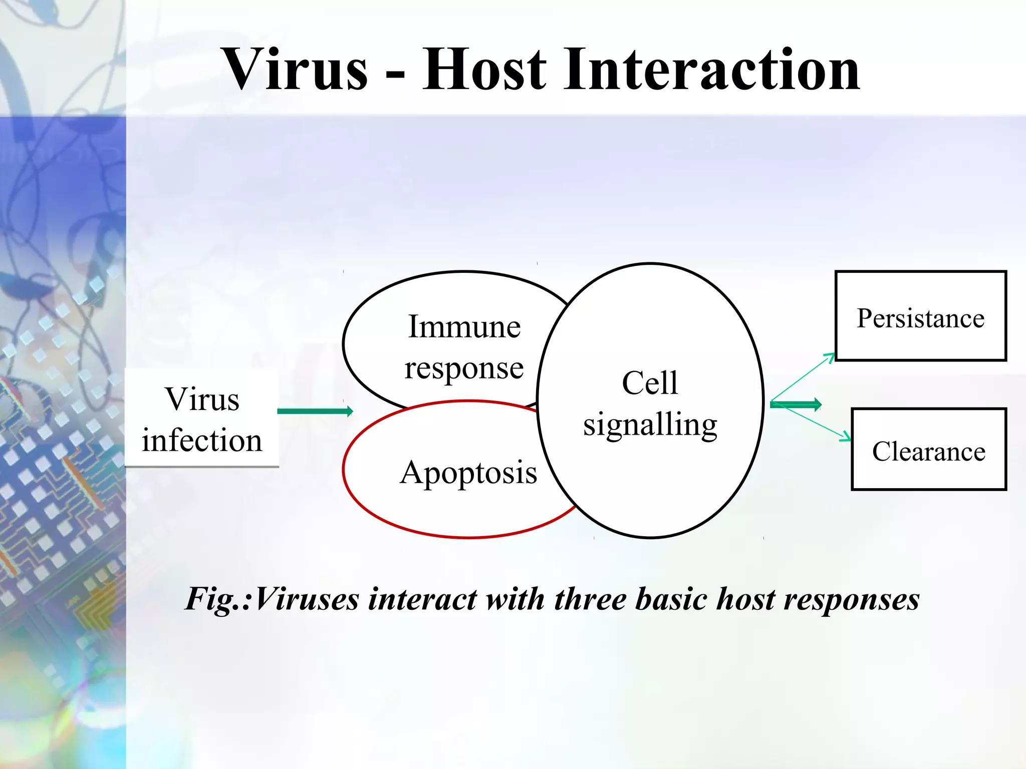 Virus - Host Interaction


                  Immune                           Persistance
                  response        Cell
  Virus
                               signalling
infection                                           Clearance
                  Apoptosis


   Fig.:Viruses interact with three basic host responses
 