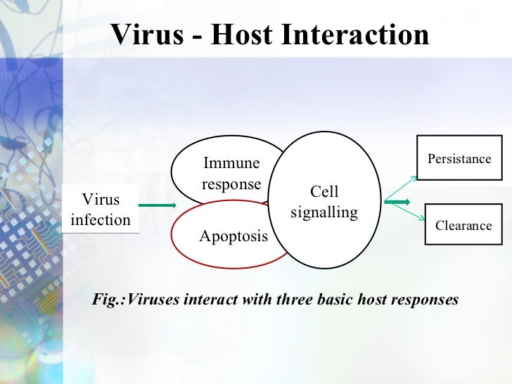 Presentation on host virus interaction(2008432018)