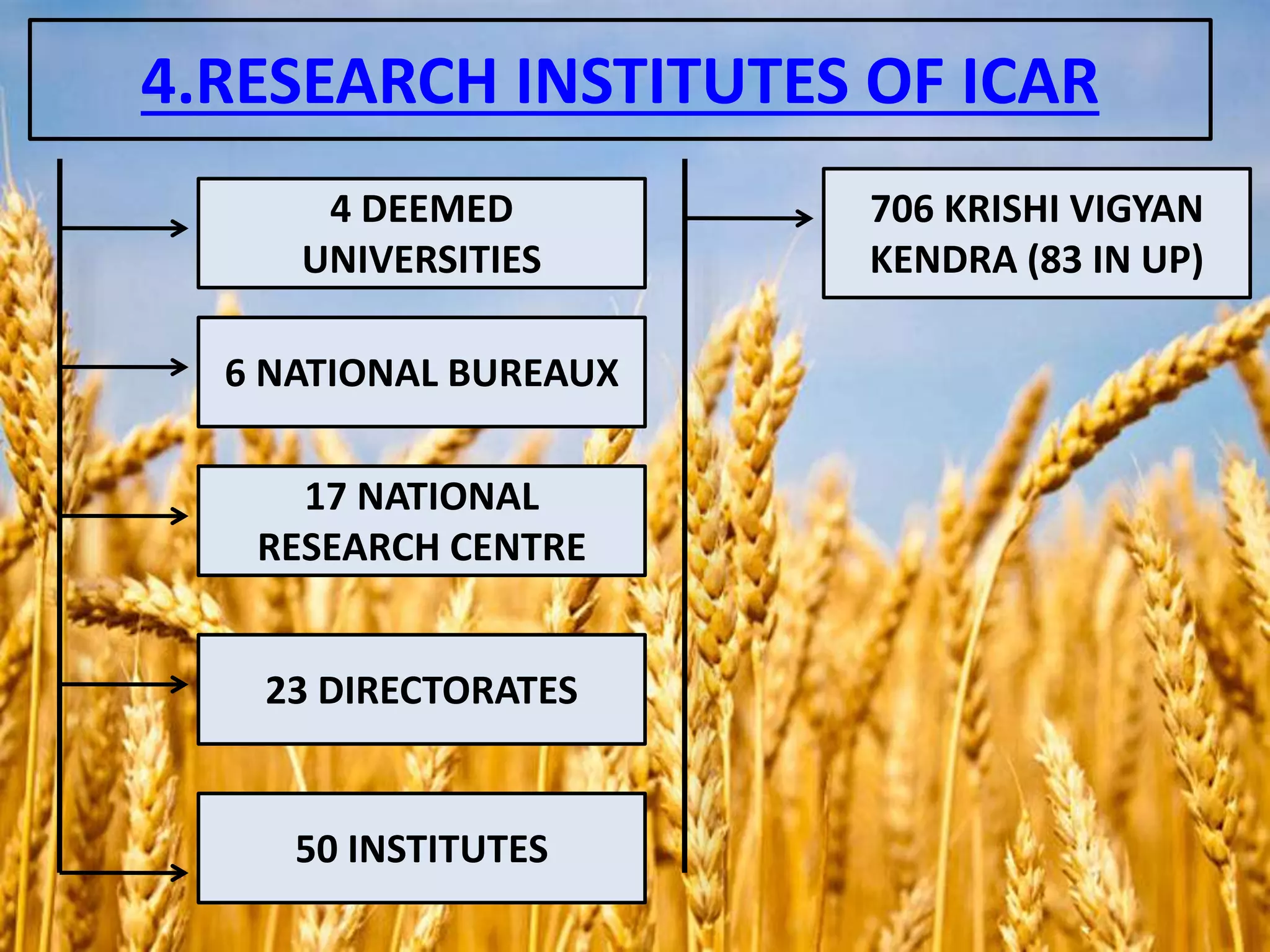 4.RESEARCH INSTITUTES OF ICAR
4 DEEMED
UNIVERSITIES
6 NATIONAL BUREAUX
17 NATIONAL
RESEARCH CENTRE
23 DIRECTORATES
50 INSTITUTES
706 KRISHI VIGYAN
KENDRA (83 IN UP)
 