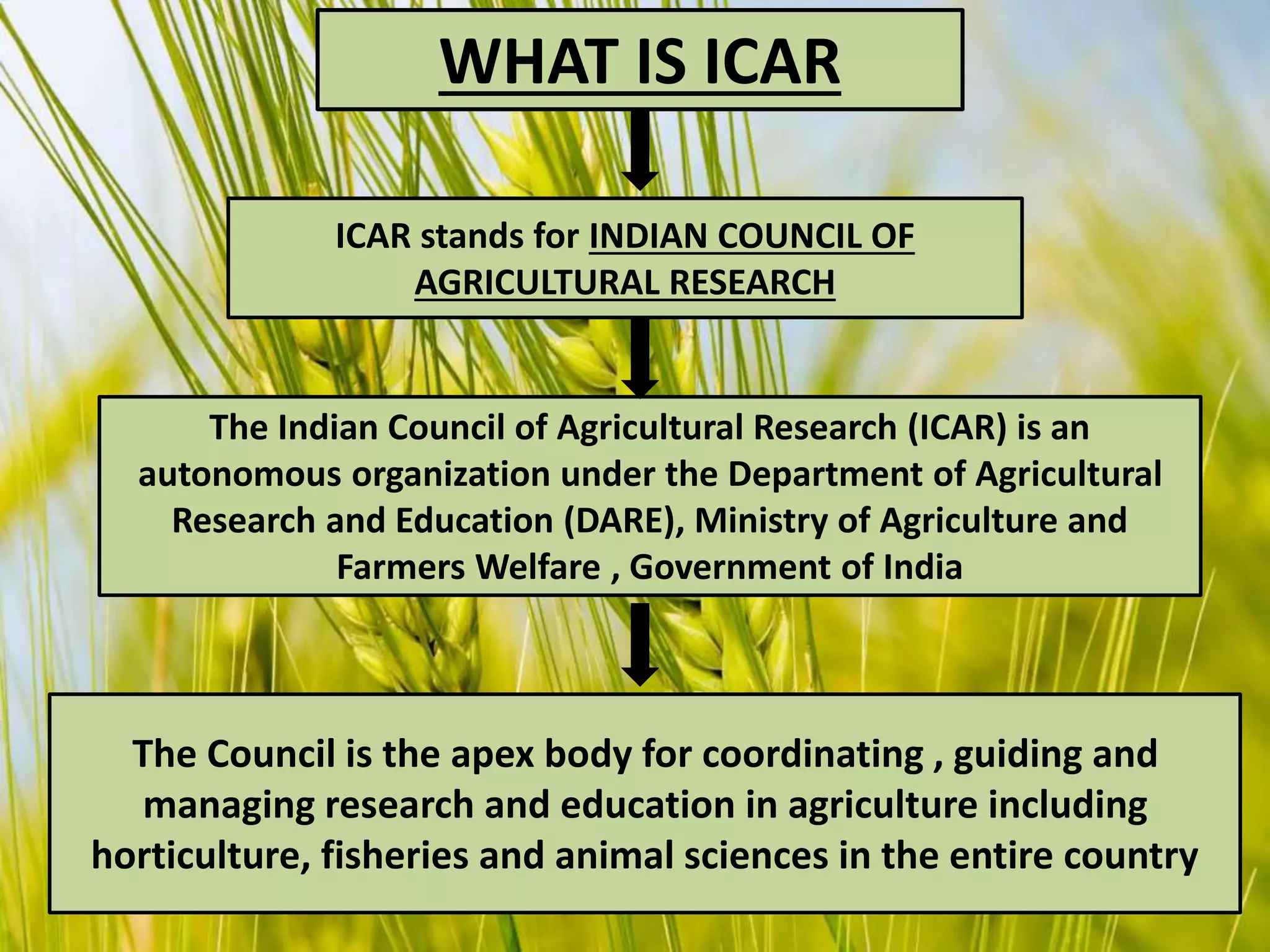 WHAT IS ICAR
The Indian Council of Agricultural Research (ICAR) is an
autonomous organization under the Department of Agricultural
Research and Education (DARE), Ministry of Agriculture and
Farmers Welfare , Government of India
ICAR stands for INDIAN COUNCIL OF
AGRICULTURAL RESEARCH
The Council is the apex body for coordinating , guiding and
managing research and education in agriculture including
horticulture, fisheries and animal sciences in the entire country
 
