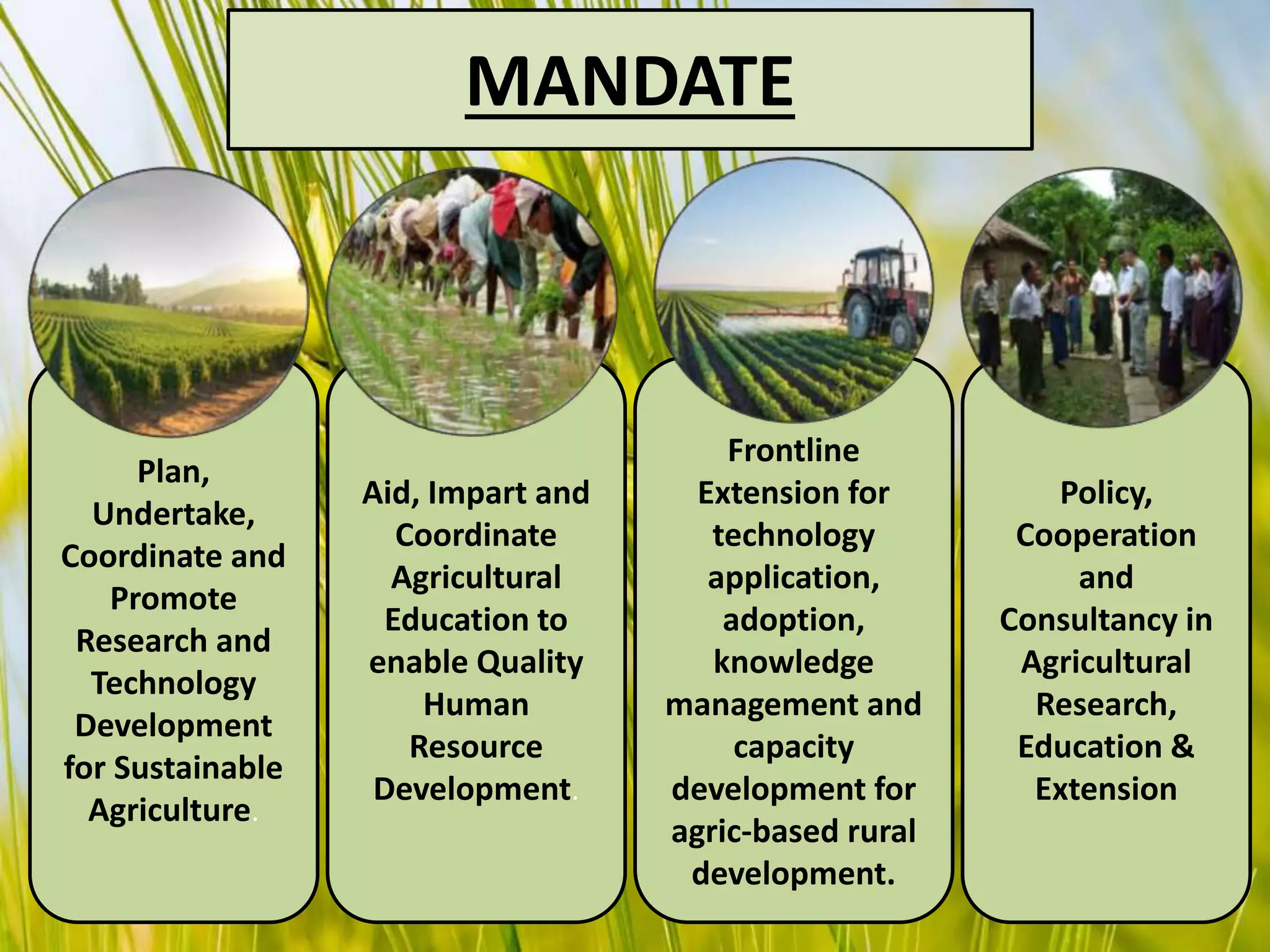 MANDATE
Plan,
Undertake,
Coordinate and
Promote
Research and
Technology
Development
for Sustainable
Agriculture.
Aid, Impart and
Coordinate
Agricultural
Education to
enable Quality
Human
Resource
Development.
Policy,
Cooperation
and
Consultancy in
Agricultural
Research,
Education &
Extension
Frontline
Extension for
technology
application,
adoption,
knowledge
management and
capacity
development for
agric-based rural
development.
 