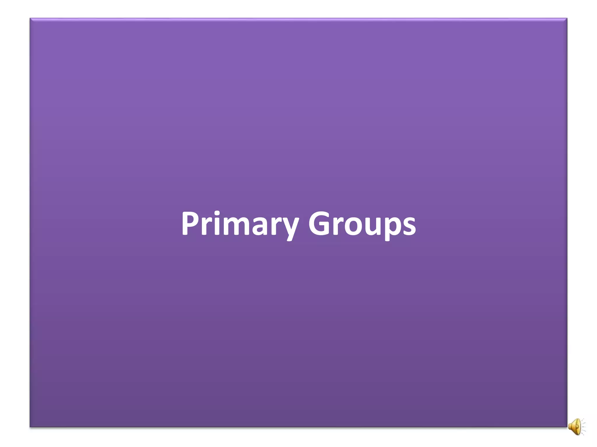 Primary Groups