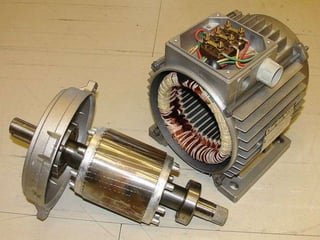 Presentation on induction motor