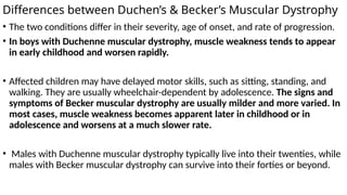 Differences between Duchen’s & Becker’s Muscular Dystrophy
• The two conditions differ in their severity, age of onset, and rate of progression.
• In boys with Duchenne muscular dystrophy, muscle weakness tends to appear
in early childhood and worsen rapidly.
• Affected children may have delayed motor skills, such as sitting, standing, and
walking. They are usually wheelchair-dependent by adolescence. The signs and
symptoms of Becker muscular dystrophy are usually milder and more varied. In
most cases, muscle weakness becomes apparent later in childhood or in
adolescence and worsens at a much slower rate.
• Males with Duchenne muscular dystrophy typically live into their twenties, while
males with Becker muscular dystrophy can survive into their forties or beyond.
 