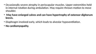 • Occasionally severe atrophy in periscapular muscles. Upper extremities held
in internal rotation during ambulation. May require thrown motion to move
shoulder.
• May have enlarged calves and can have hypertrophy of extensor digitorum
brevis.
• Diaphragm involved early, which leads to alveolar hypoventilation.
• No cardiomyopathy.
 