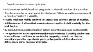 Scapulo peroneal muscular dystrophy
• Insidious onset in childhood and progression is slow without loss of ambulation.
• May be myopathic or neuropathic (in which case EKG abnormalities are observed)
& hereditary pattern is variable.
• Muscle weakness mainly confined to scapular and peroneal groups of muscles.
• Achilles tendon & elbow flexion contractures as well as inability to fully flex the
neck &spine.
• By mid adulthood, atrial conduction defects occur that can cause sudden death.
• The syndrome of Facioscapulohumeral muscle weakness & wasting can be seen
in such diverse conditions as myotubular myopathy, central core disease,
nemaline myopathy, myasthenia gravis, polymyositis, adult acid maltase
deficiency, & spinal muscular dystrophy.
 