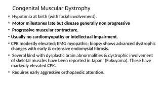 Congenital Muscular Dystrophy
• Hypotonia at birth (with facial involvement).
• Motor milestones late but disease generally non progressive
• Progressive muscular contracture.
• Usually no cardiomyopathy or intellectual impairment.
• CPK modestly elevated; EMG myopathic; biopsy shows advanced dystrophic
changes with early & extensive endomysial fibrosis.
• Several kind with dysplastic brain abnormalities & dystrophic involvement
of skeletal muscles have been reported in Japan` (Fukuyama). These have
markedly elevated CPK.
• Requires early aggressive orthopaedic attention.
 